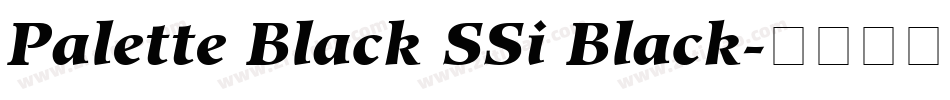 Palette Black SSi Black字体转换